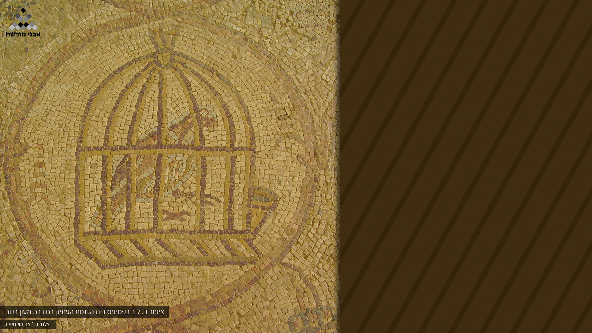 ציפור בכלוב בפסיפס בית הכנסת העתיק בחורבת מעון בנגב 