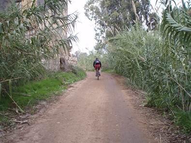 רכיבה לאורך הירקון, 2009