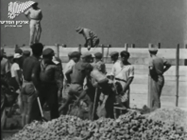 1937 ,097-I יומן קולנוע כרמל