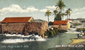 גלויה של שבע טחנות על גדות נחל הירקון משלהי המאה ה-19