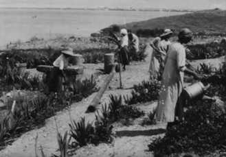 יומן כרמל 230, 1945