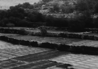 יומן כרמל 339, 1961