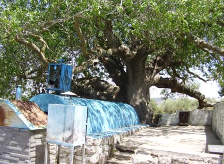 קבר רבי טרפון בקדיתא