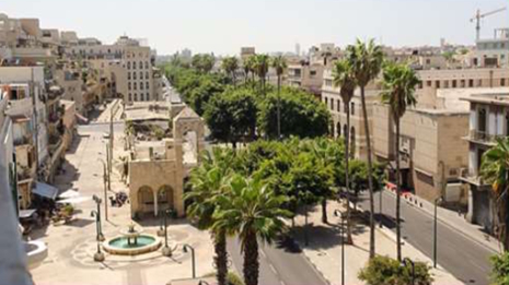 וושינגטוניות בשדרות ירושלים ביפו, 2012