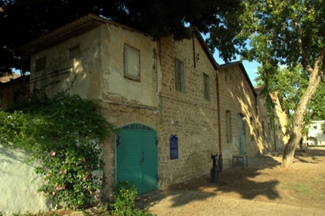 היקב במקווה ישראל, 2019