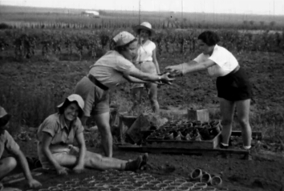 כפר הנוער עיינות, שנות 1930