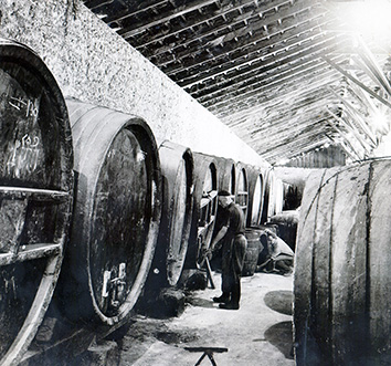 חביות יין ענקיות ביקב פרידמן, שנות ה-40, מארכיון פתח תקוה
