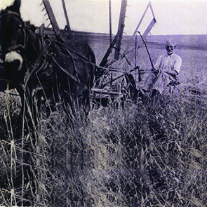 תמונה היסטורית - מקצרה בשדה