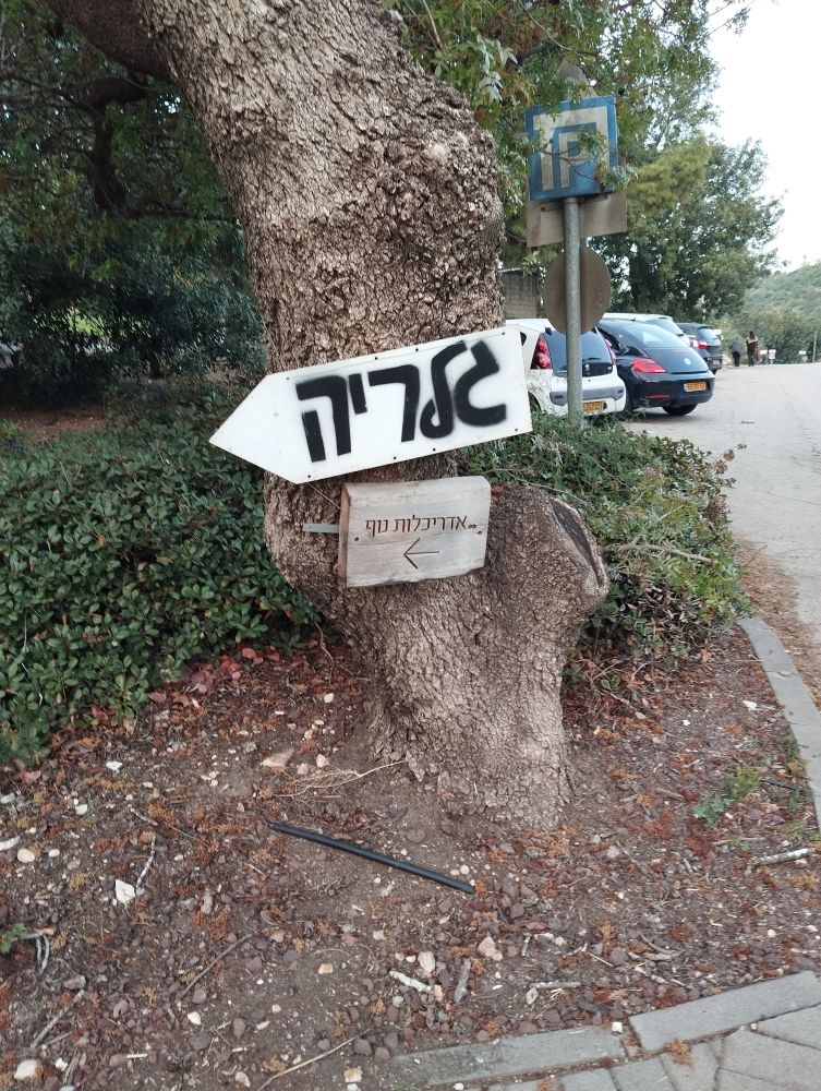 שער העמקים