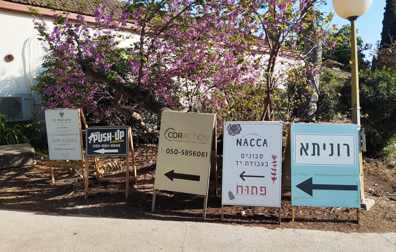 קיבוץ מרחביה