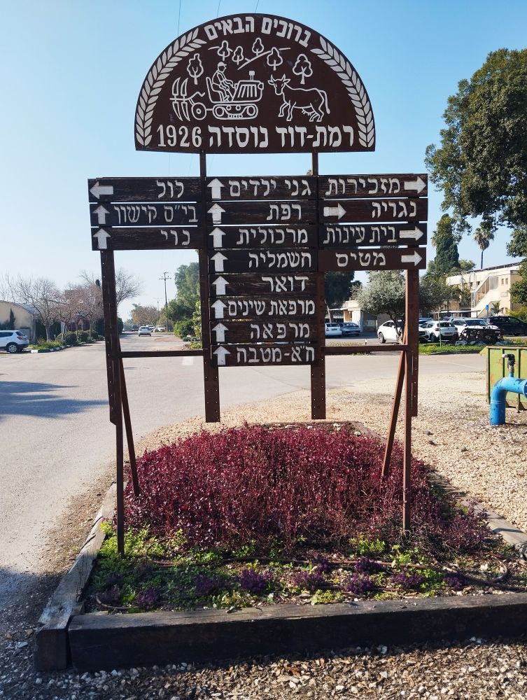 רמת דוד