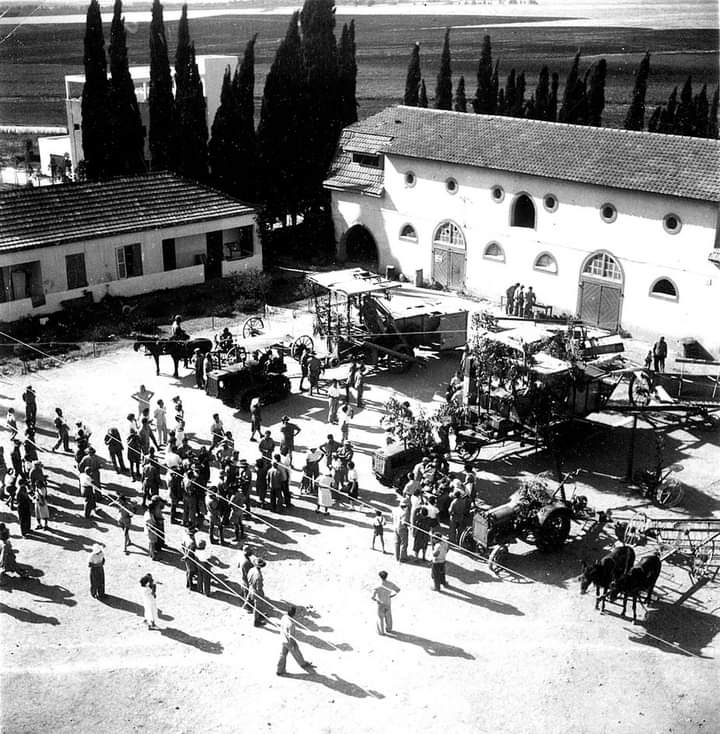 חג שבועות בחצר הגדולה, מבט-על, שנות ה-40, ארכיון מרחביה